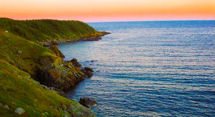 Main Gallery Display