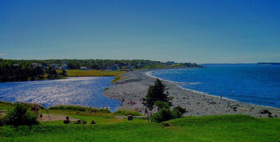 Main Gallery Display