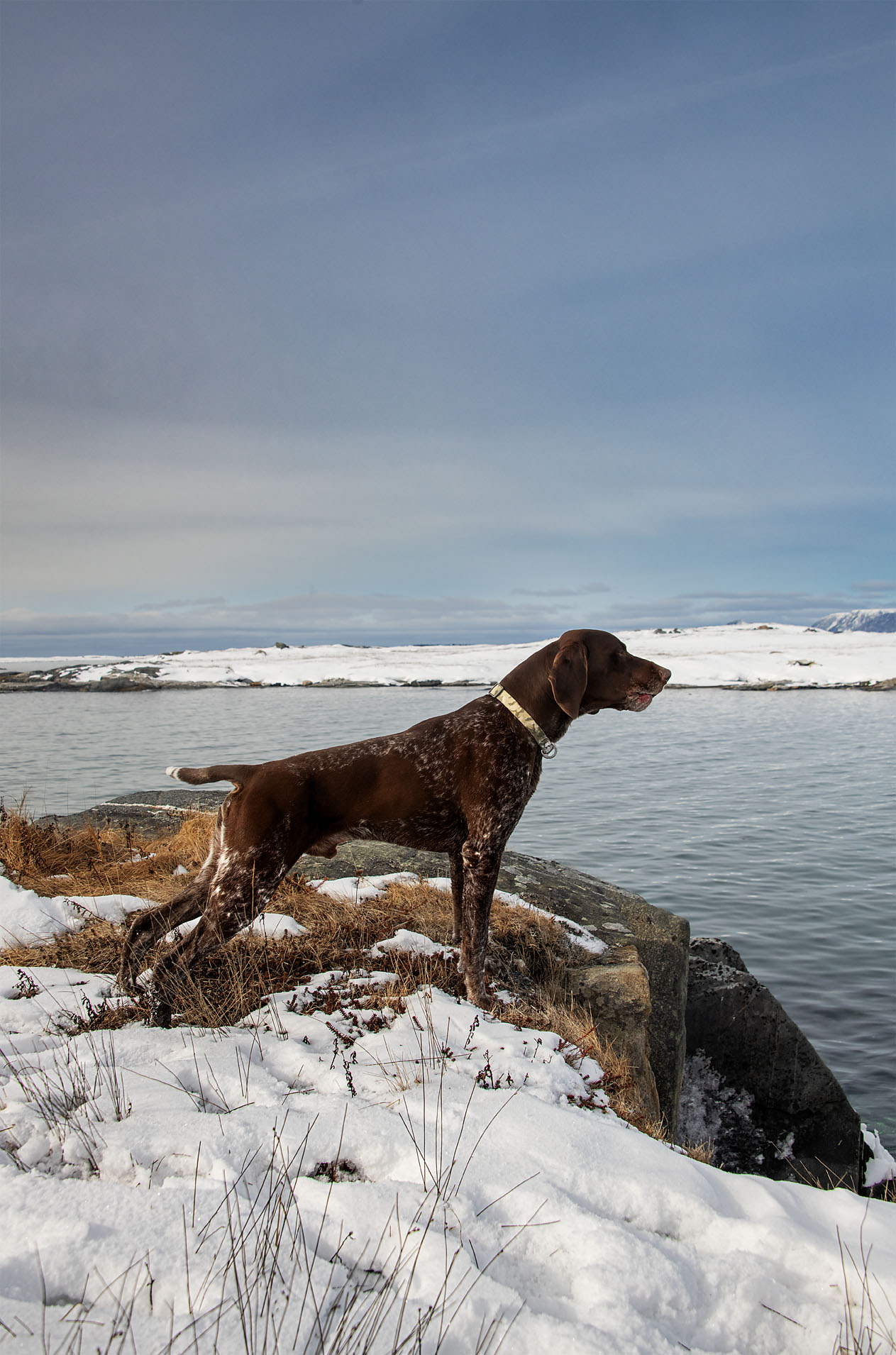 Main Gallery Display