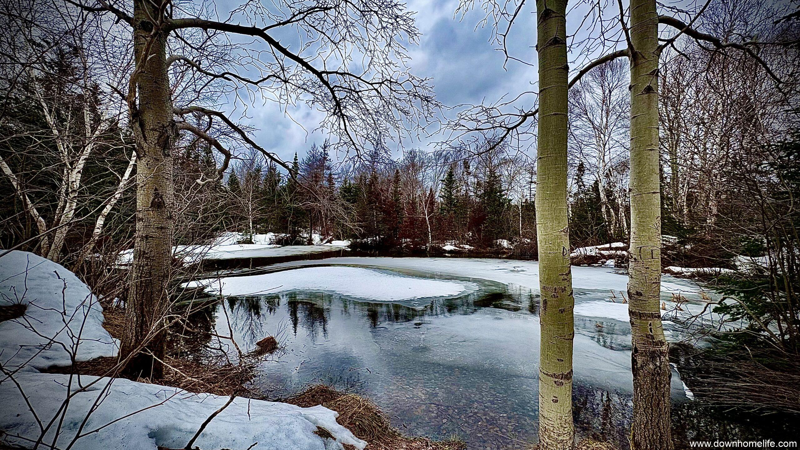 Spring is breaking through - Downhome Magazine