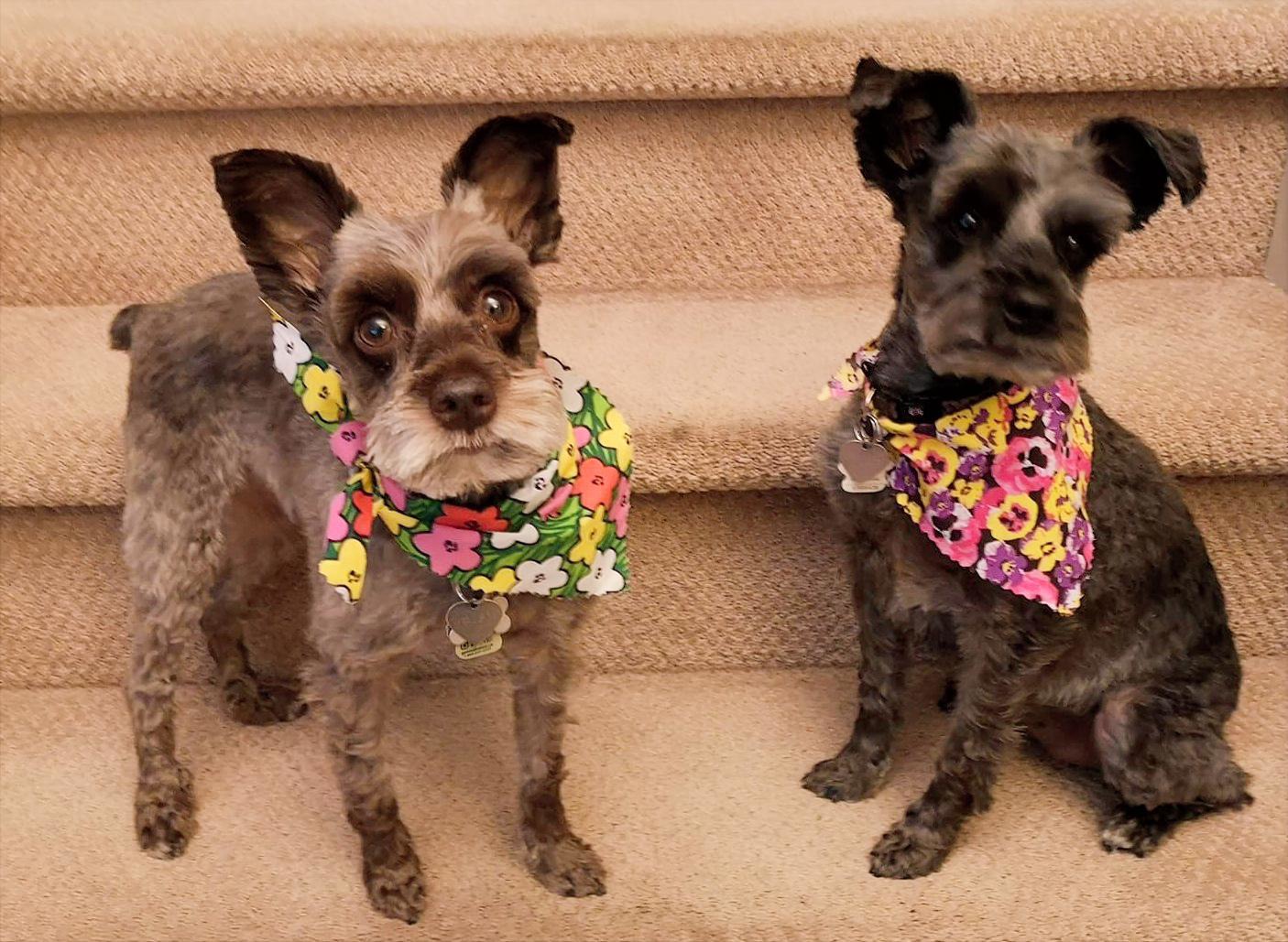 Main Gallery Display