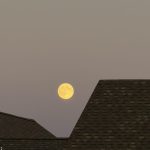 Thumbnail Preview